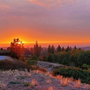 Bravehearts From Rural Northern California