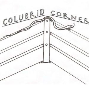 Colubrid Corner by MPR Network