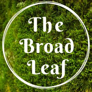 The Broad Leaf