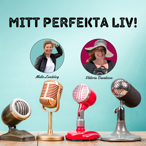 mitt perfekta liv