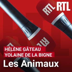 Les animaux by RTL