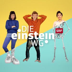 Die Einstein-WG
