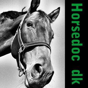 Horsedoc.dk - Hestedyrlæger by Horsedoc.dk