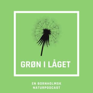 Grøn i låget