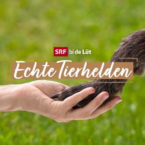 SRF bi de Lüt – Echte Tierhelden