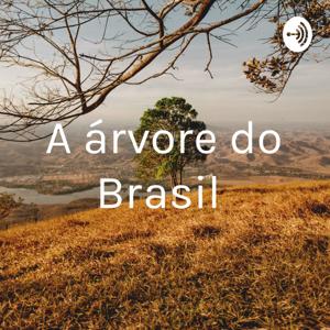 A árvore do Brasil