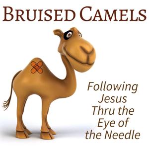 Bruised Camels - Following Jesus Thru the Eye of the Needle