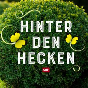 Hinter den Hecken