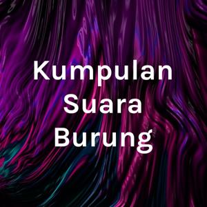 Kumpulan Suara Burung Mp3