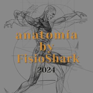 Anatomía By FisioShark