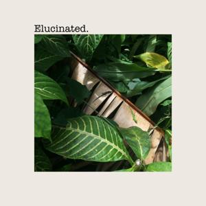 Elucinated.
