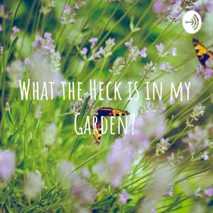 What the Heck is in my Garden?