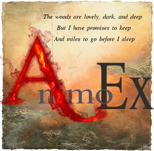 AnimoEx