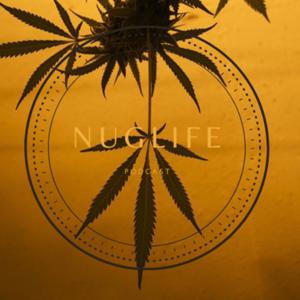 NugLife