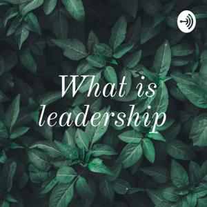 What is leadership by Rocio