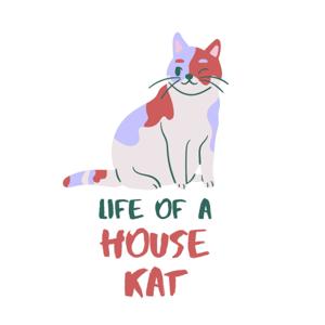 Life of a House Kat