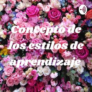 Concepto de los estilos de aprendizaje