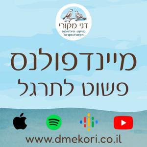 מיינדפולנס - פשוט לתרגל by דני מקורי