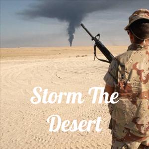 Storm The Desert