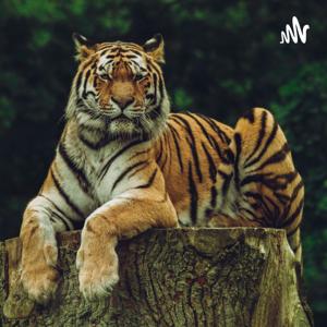 KAHINI - OUR PRIDE



(Audiobooks)