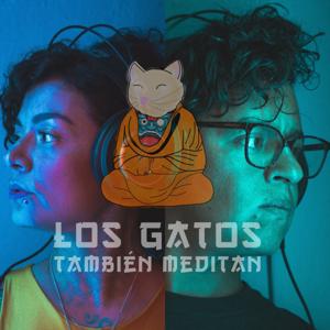 Los gatos también meditan