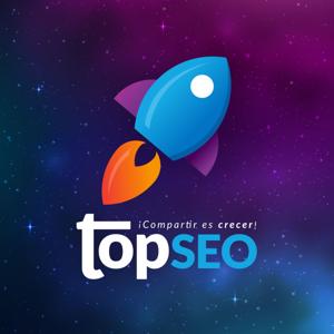 TOPSEO