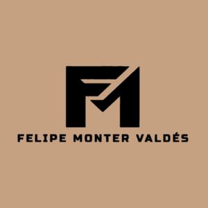 FELIPE MONTER VALDES