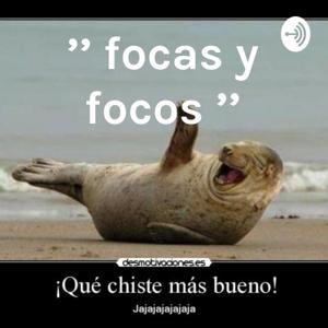 '' focas y focos ''