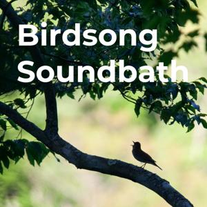 Birdsong Soundbath by Dovetail Workwear