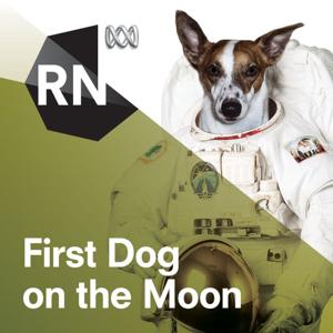 Program podcast