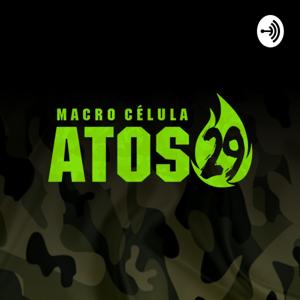 ATOS29