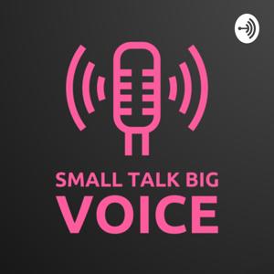 Small talk big voice