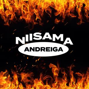 Niisama Andreiga by Delfi Meedia