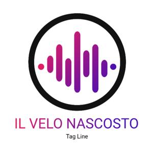 IL VELO NASCOSTO