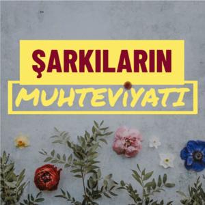 Şarkıların Muhteviyatı