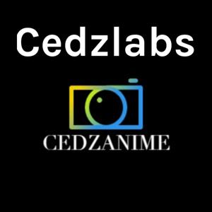 cedzLabs