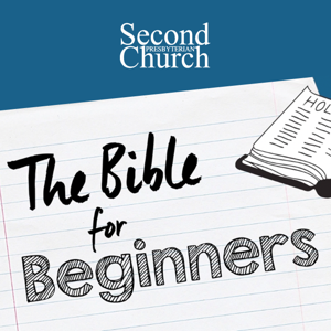 The Bible for Beginners