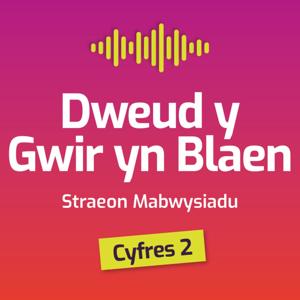 Dweud y gwir yn blaen: straeon mabwysiadu