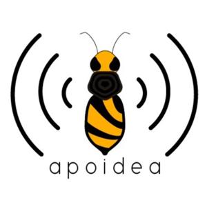 apoidea