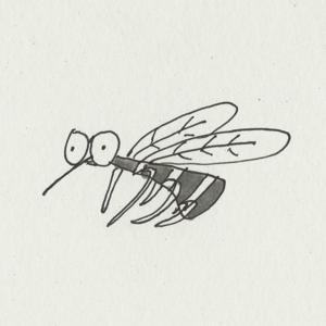 Annoying Mosquito