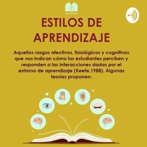 Estilos De Aprendizajes