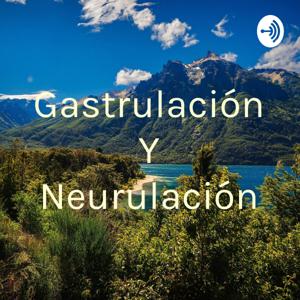 Gastrulación Y Neurulación