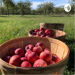 Apples and Art