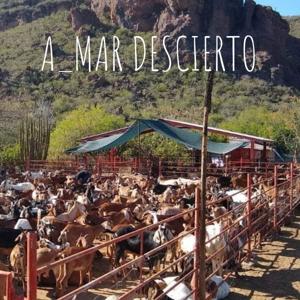 A_MAR DESCIERTO