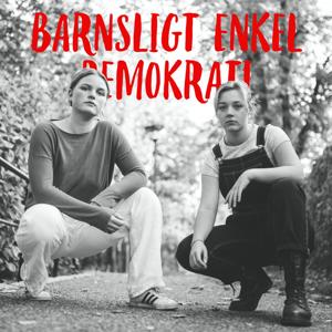 Barnsligt enkel demokrati