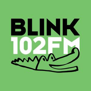 BLINK 102 FM