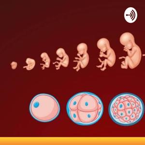 Gastrulacion y Neurulacion