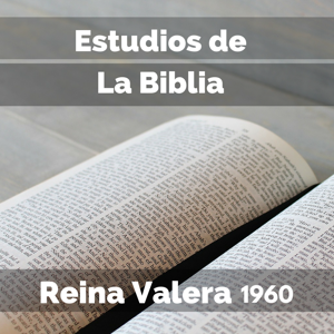 .::Predicaciones - Estudios Biblicos - Sermon::. ~