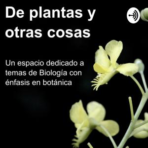 De plantas y otras cosas