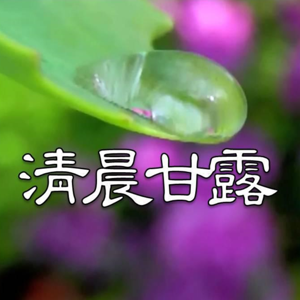 《清晨甘露》有聲靈修